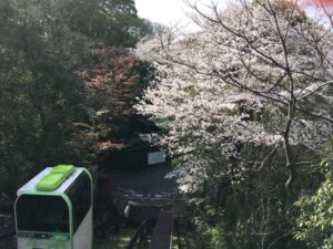 福岡市植物園　スロープカー