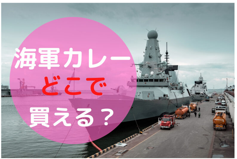 【どこで買えるの?】海軍カレーのレトルトの販売店は?艦めしカレー・陸自カレーも。おすすめ通販 むすめいくじ